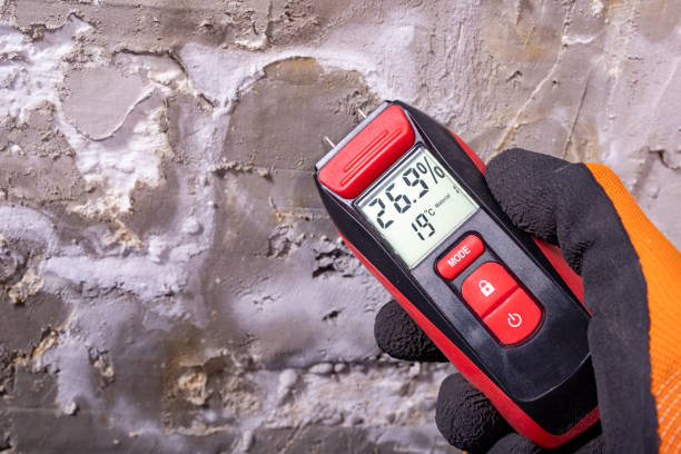 Best Industrial Mold Remediation in Maple Park, IL